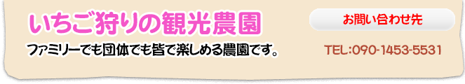 いちご狩り観光農園