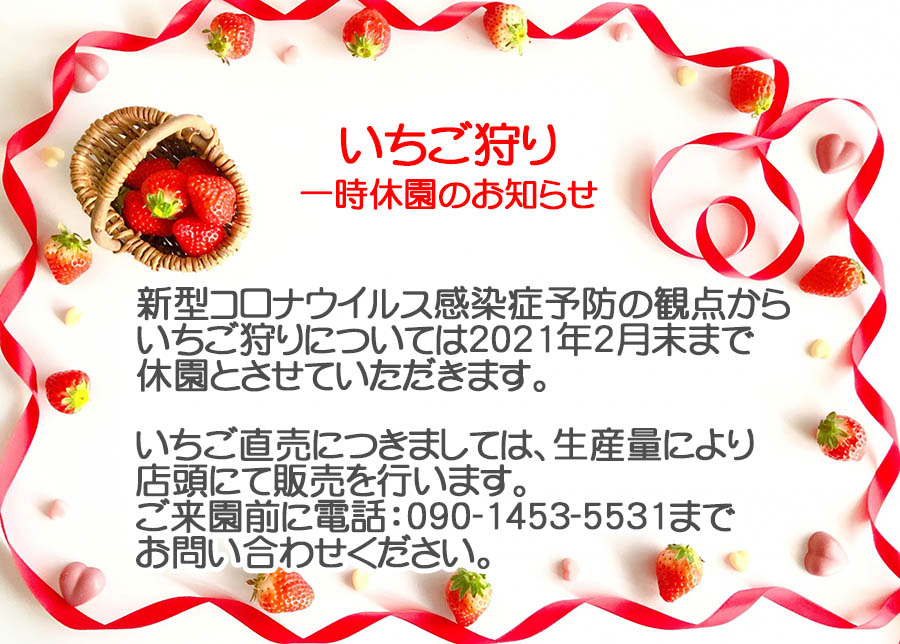 狭山市の観光いちご狩り農園 粕谷園 新型コロナ感染症予防の観点から休園いたします。