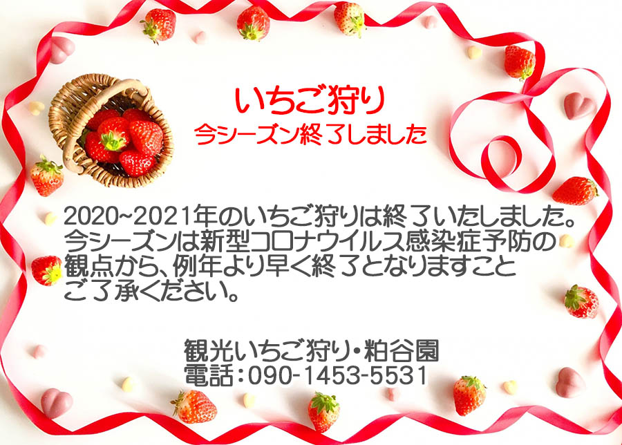 狩り コロナ イチゴ 新型コロナウイルス感染拡大 客足遠のく観光イチゴ農園がとった対策とは