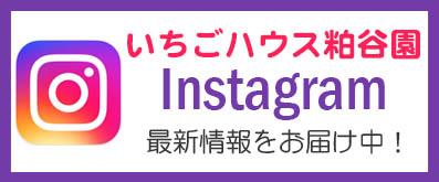 いちごハウス粕谷園　instagram